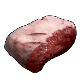 Raw Big Cat Meat