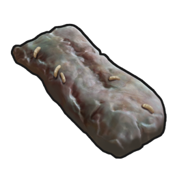 Spoiled Crocodile Meat