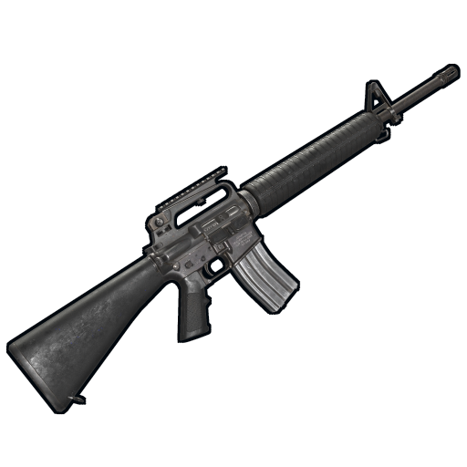 Lr 300 Assault Rifle