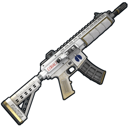 Space Lr 300 Assault Rifle