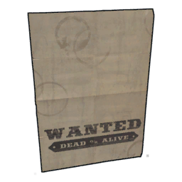 Wanted Poster 4